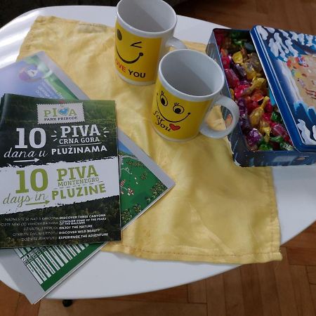 Apartman Pavle Pluzine Bagian luar foto