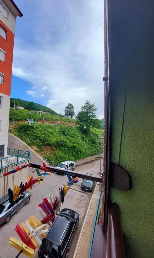 Apartman Pavle Pluzine Bagian luar foto