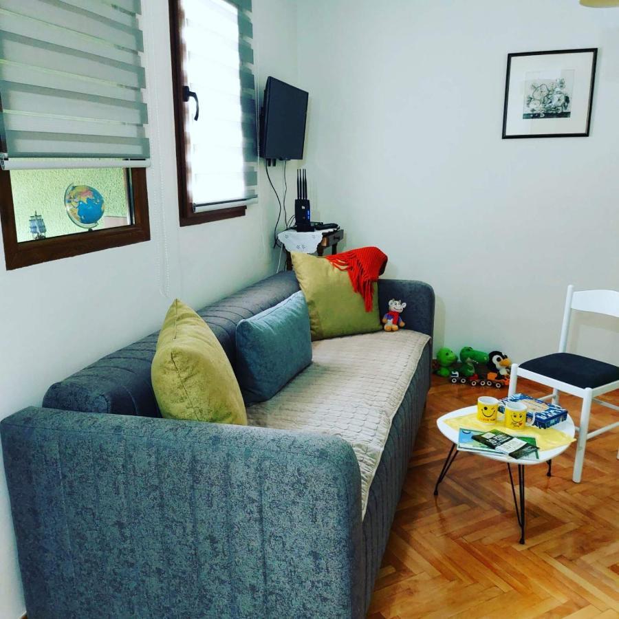 Apartman Pavle Pluzine Bagian luar foto
