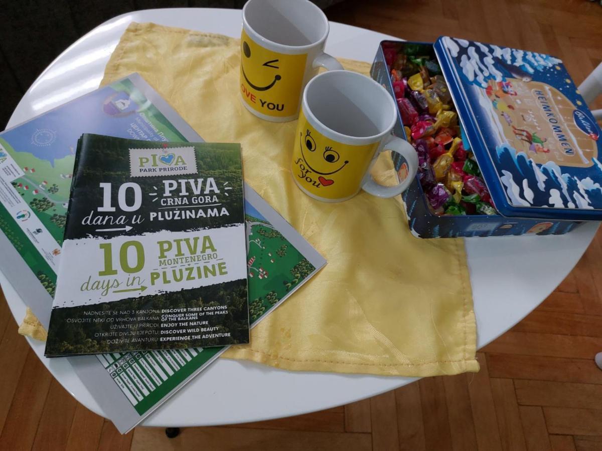 Apartman Pavle Pluzine Bagian luar foto