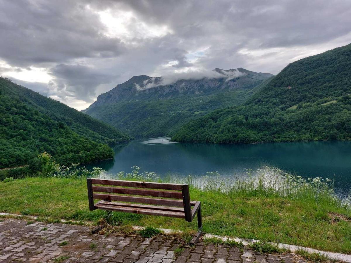 Apartman Pavle Pluzine Bagian luar foto