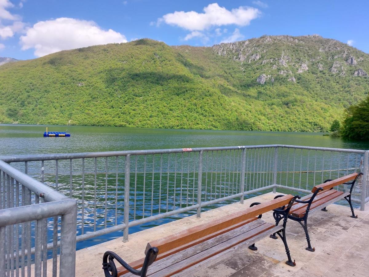 Apartman Pavle Pluzine Bagian luar foto