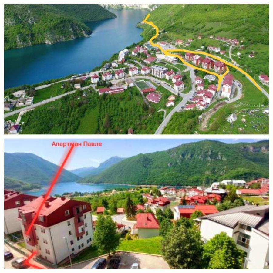 Apartman Pavle Pluzine Bagian luar foto