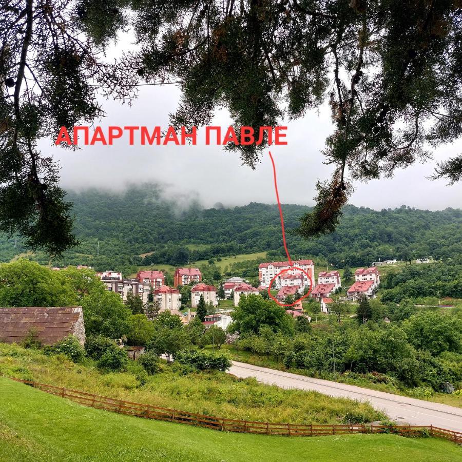 Apartman Pavle Pluzine Bagian luar foto