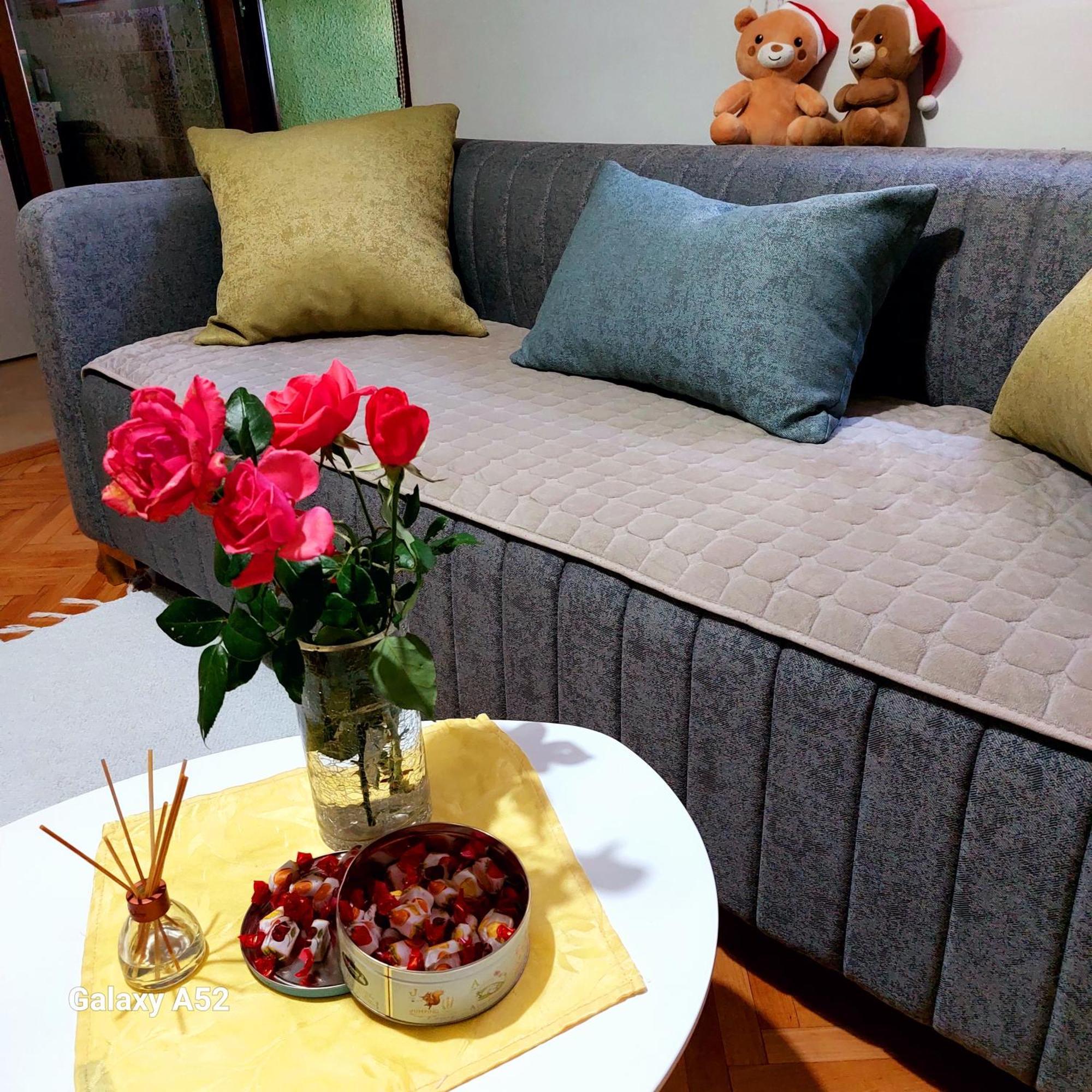 Apartman Pavle Pluzine Bagian luar foto