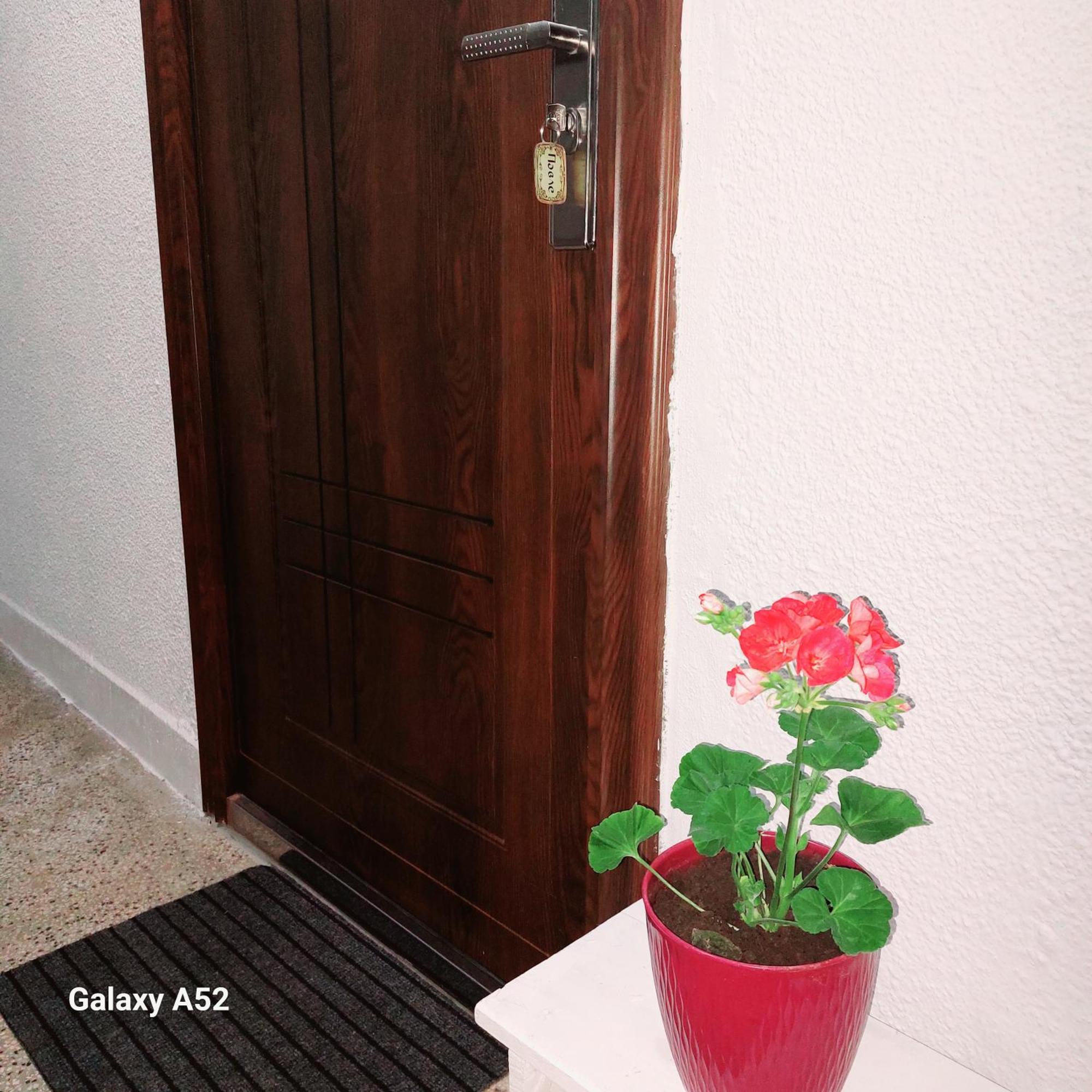 Apartman Pavle Pluzine Bagian luar foto