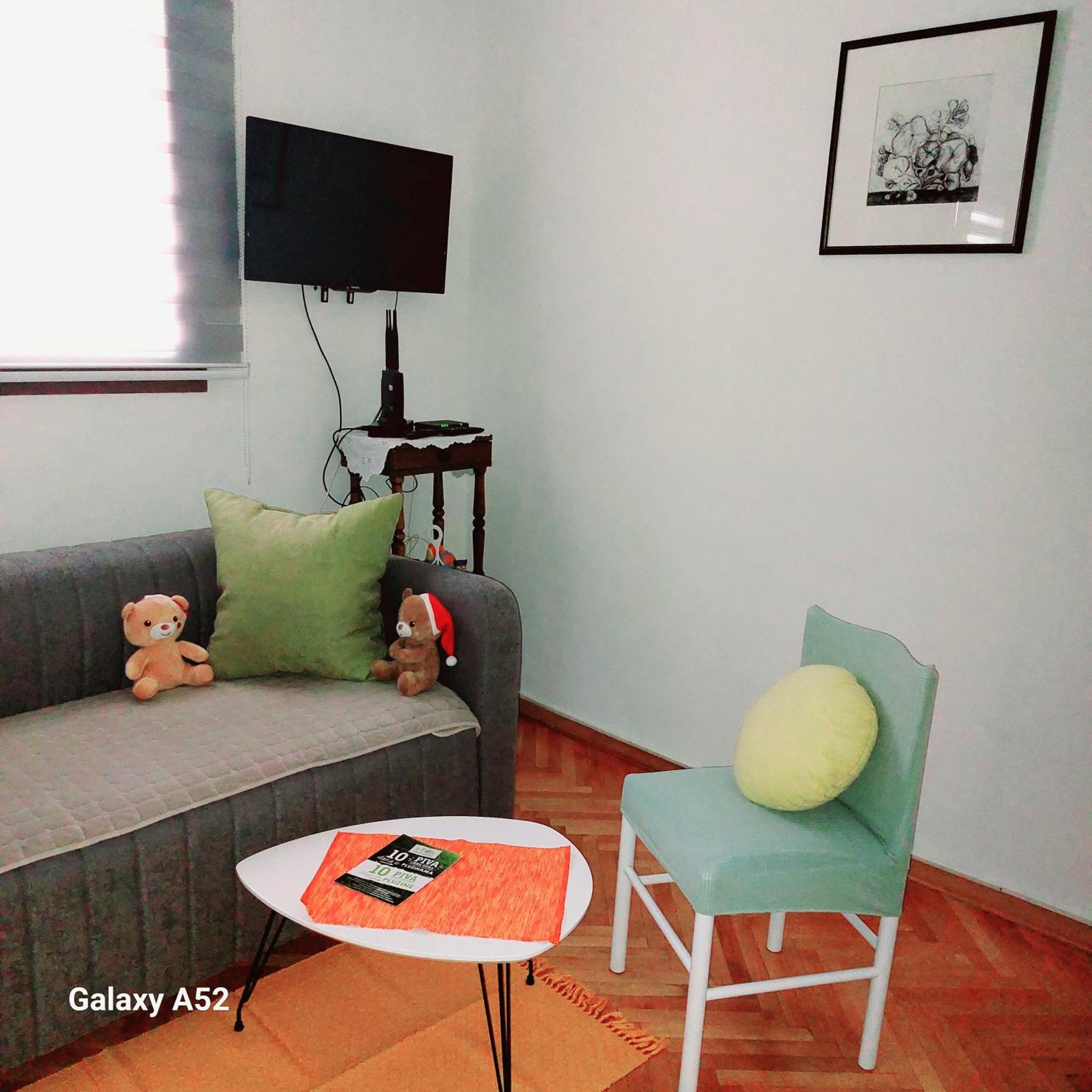 Apartman Pavle Pluzine Bagian luar foto