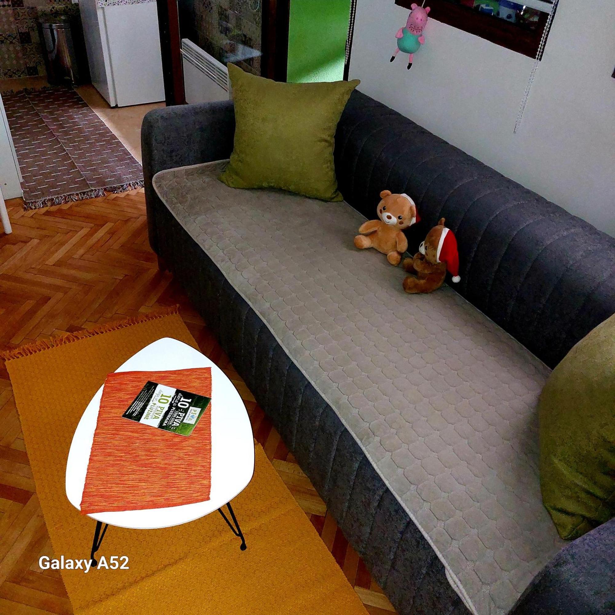 Apartman Pavle Pluzine Bagian luar foto