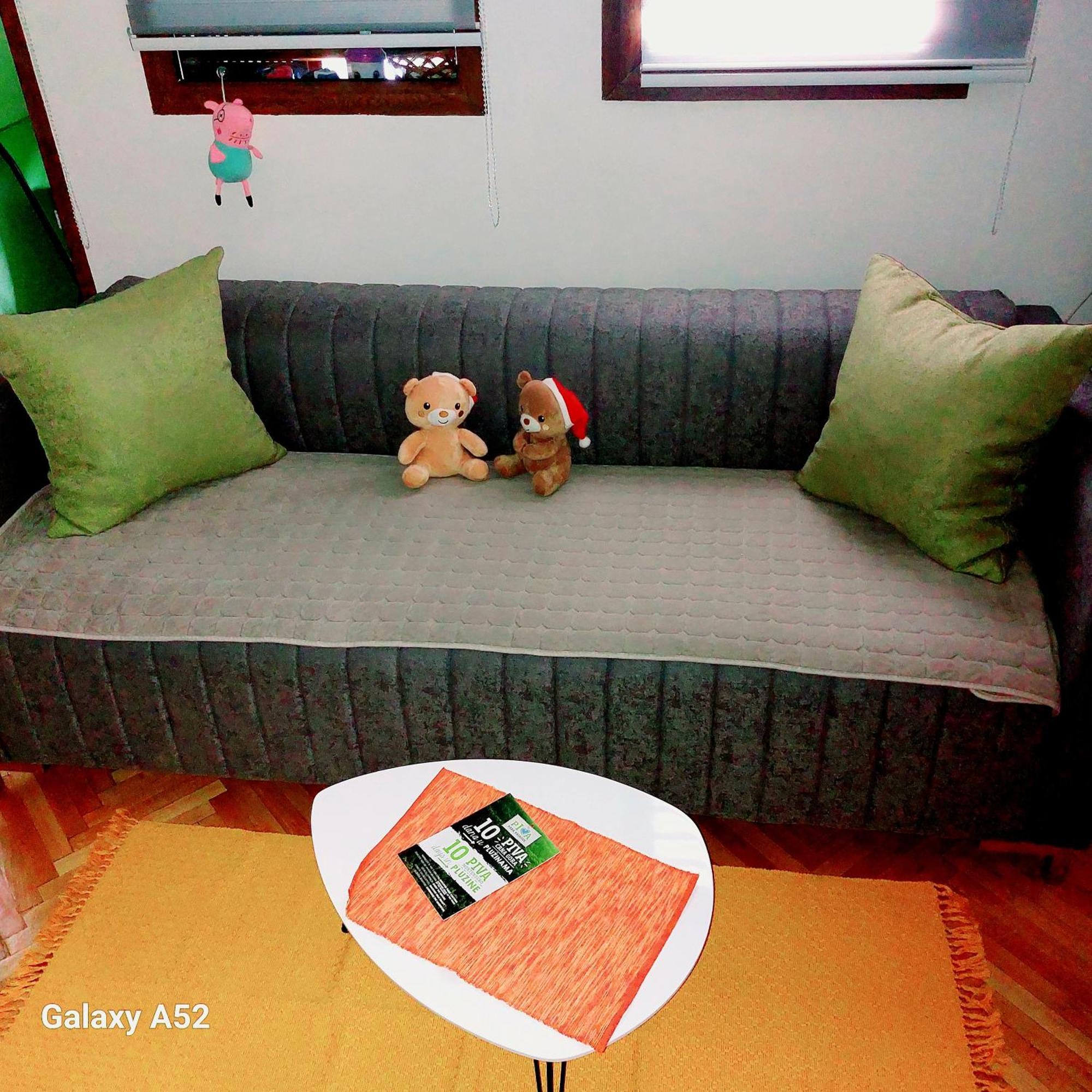 Apartman Pavle Pluzine Bagian luar foto