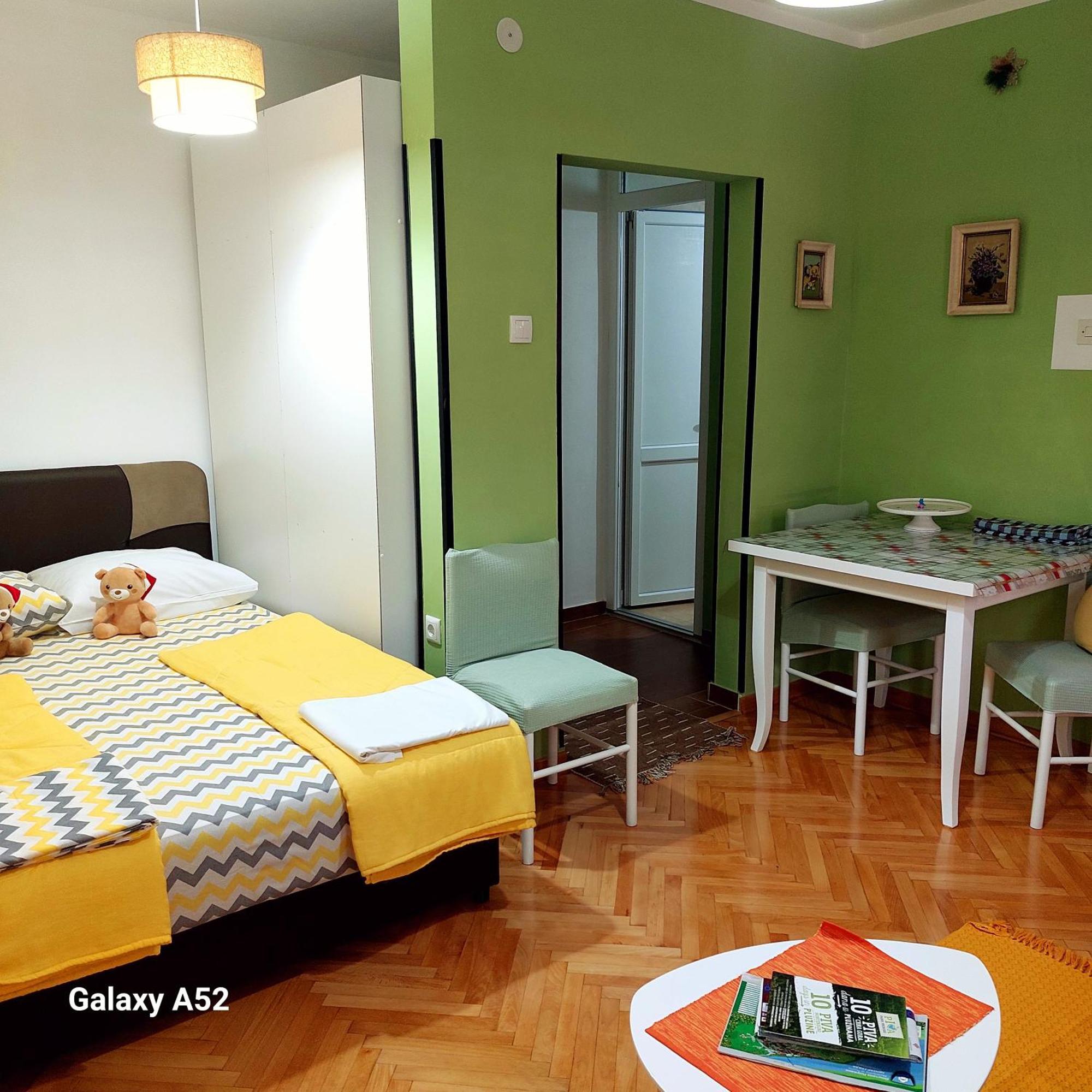 Apartman Pavle Pluzine Bagian luar foto